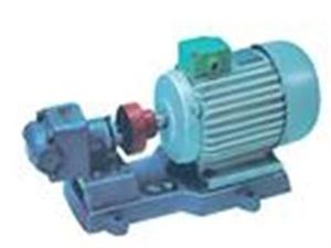 RYB擺線內嚙合齒輪泵-RYB燃油泵-燃油泵