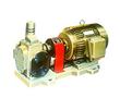圓弧齒輪油泵-圓弧齒輪泵-YCB圓弧齒輪泵
