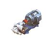 不銹鋼齒輪油泵-不銹鋼齒輪泵-不銹鋼泵