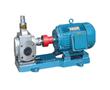 YCB圓弧齒輪油泵-圓弧齒輪油泵-齒輪油泵